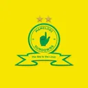 Mamelodi Sundowns FC's icon