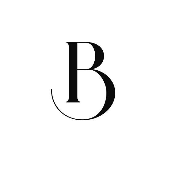 Balansia B.V.'s icon