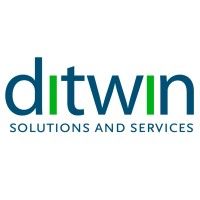 Ditwin's icon