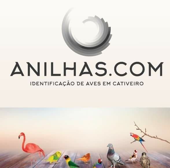 Anilhas's icon
