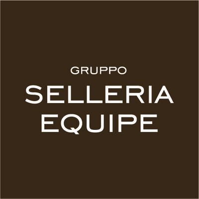 GRUPPO SELLERIA EQUIPE S.p.A.'s icon