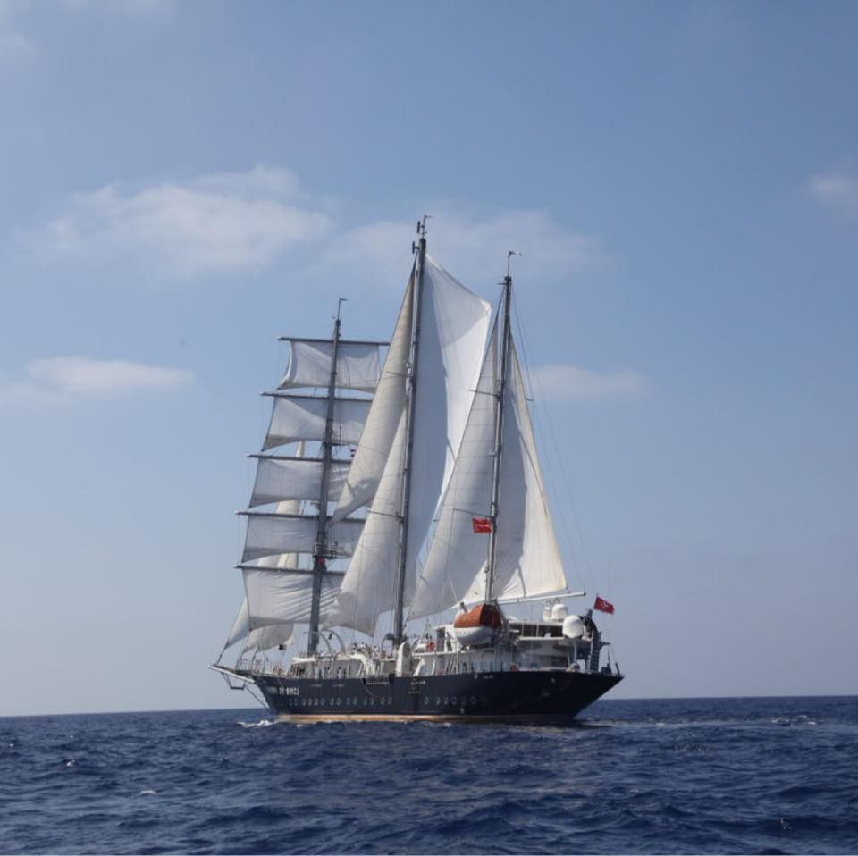 RUNNING ON WAVES's icon