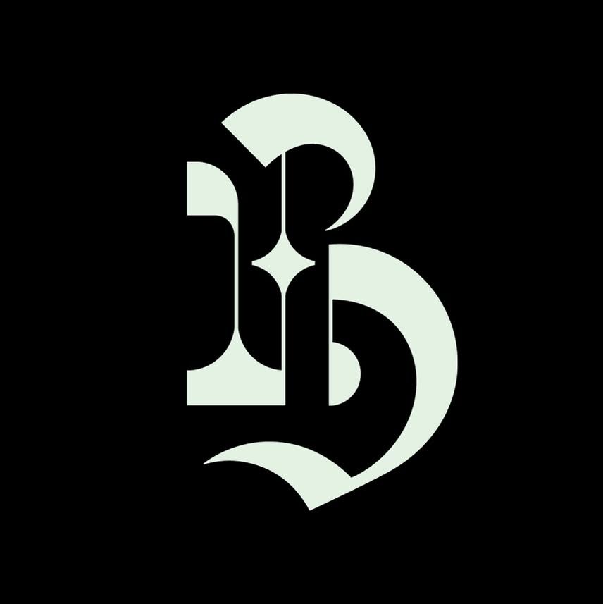 Barratt Due musikkinstitutt's icon