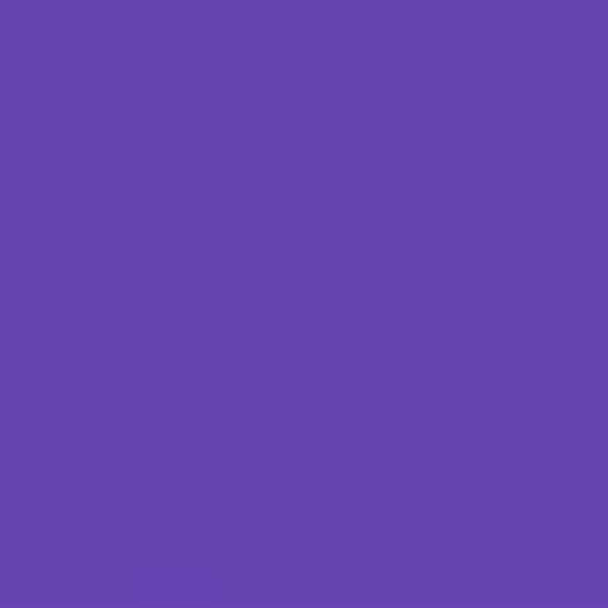 Solutioneers's icon