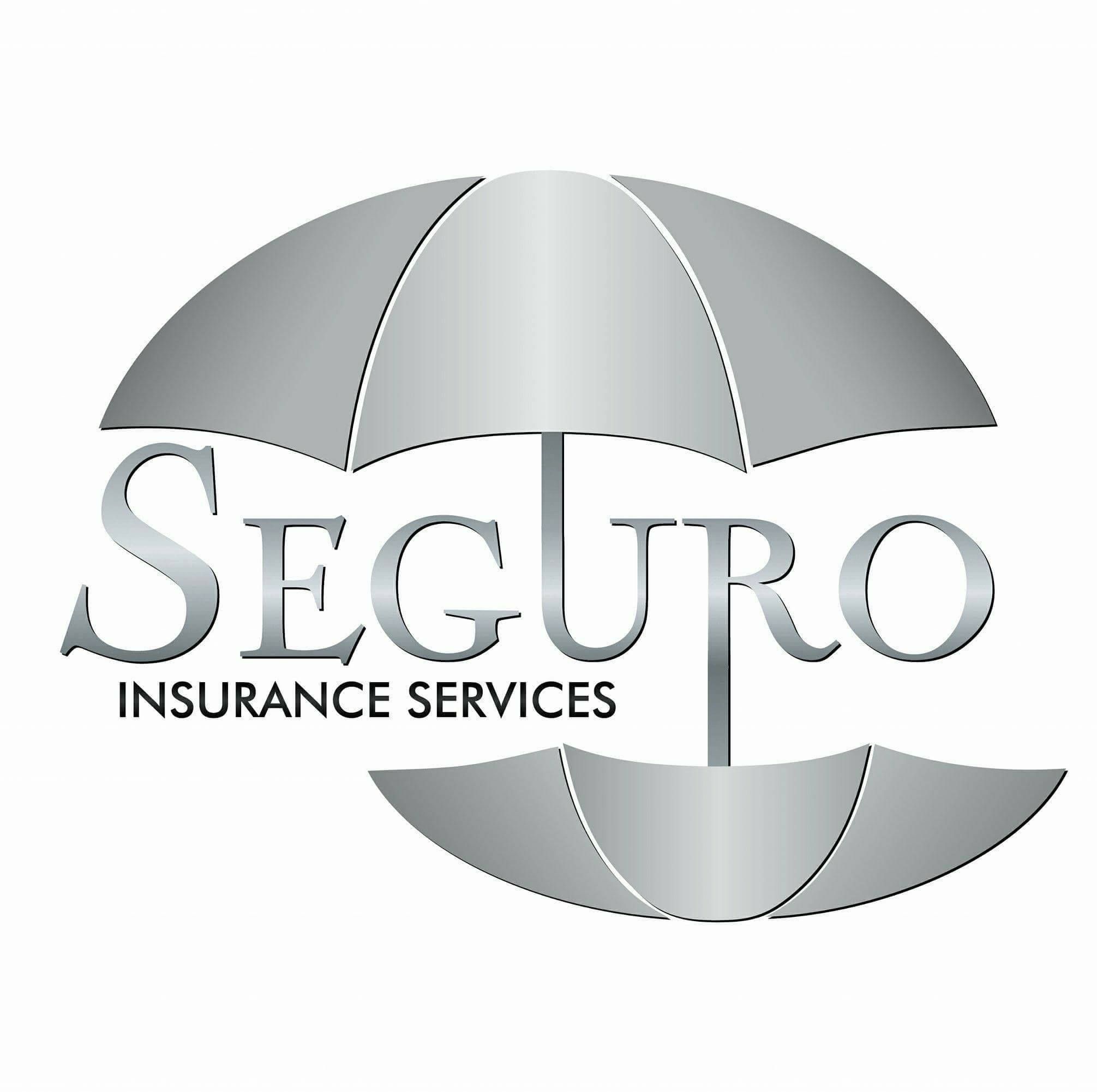 Seguro Insurance Services's icon