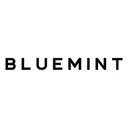 BLUEMINT's icon