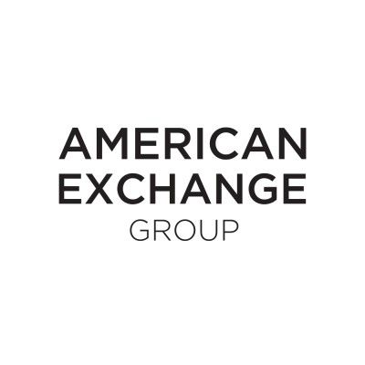 American Exchange Group's icon