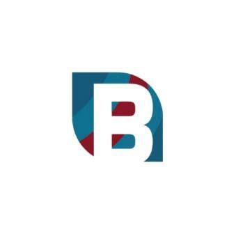 BEST SOLUTION CONSULTING's icon