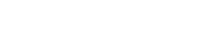 Velox's logos