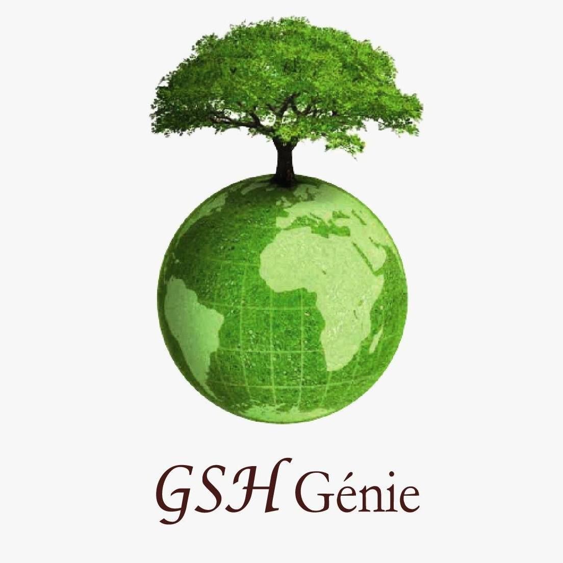 GSH Genie's icon