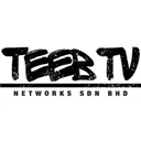Teeb TV's icon