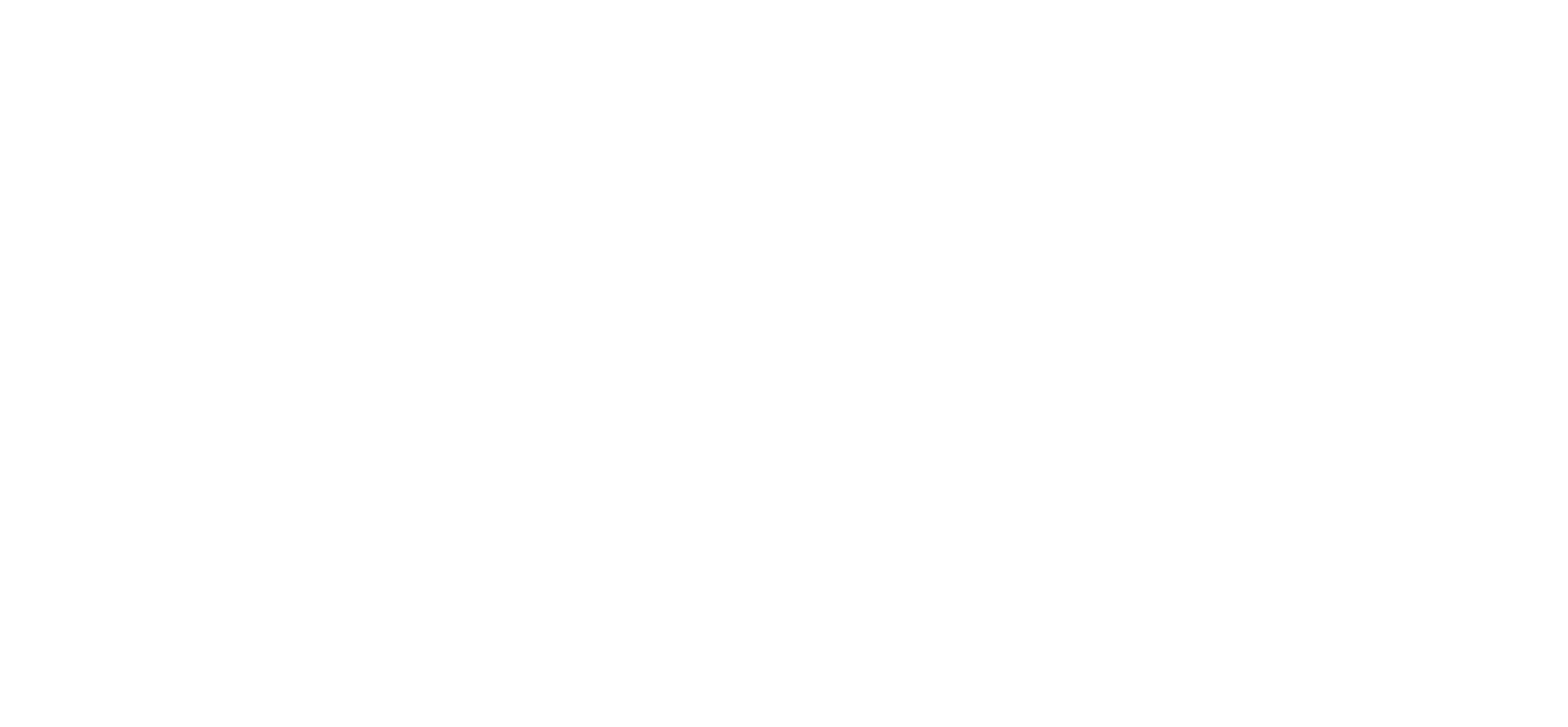 OLLI SALUMERIA AMERICANA logo
