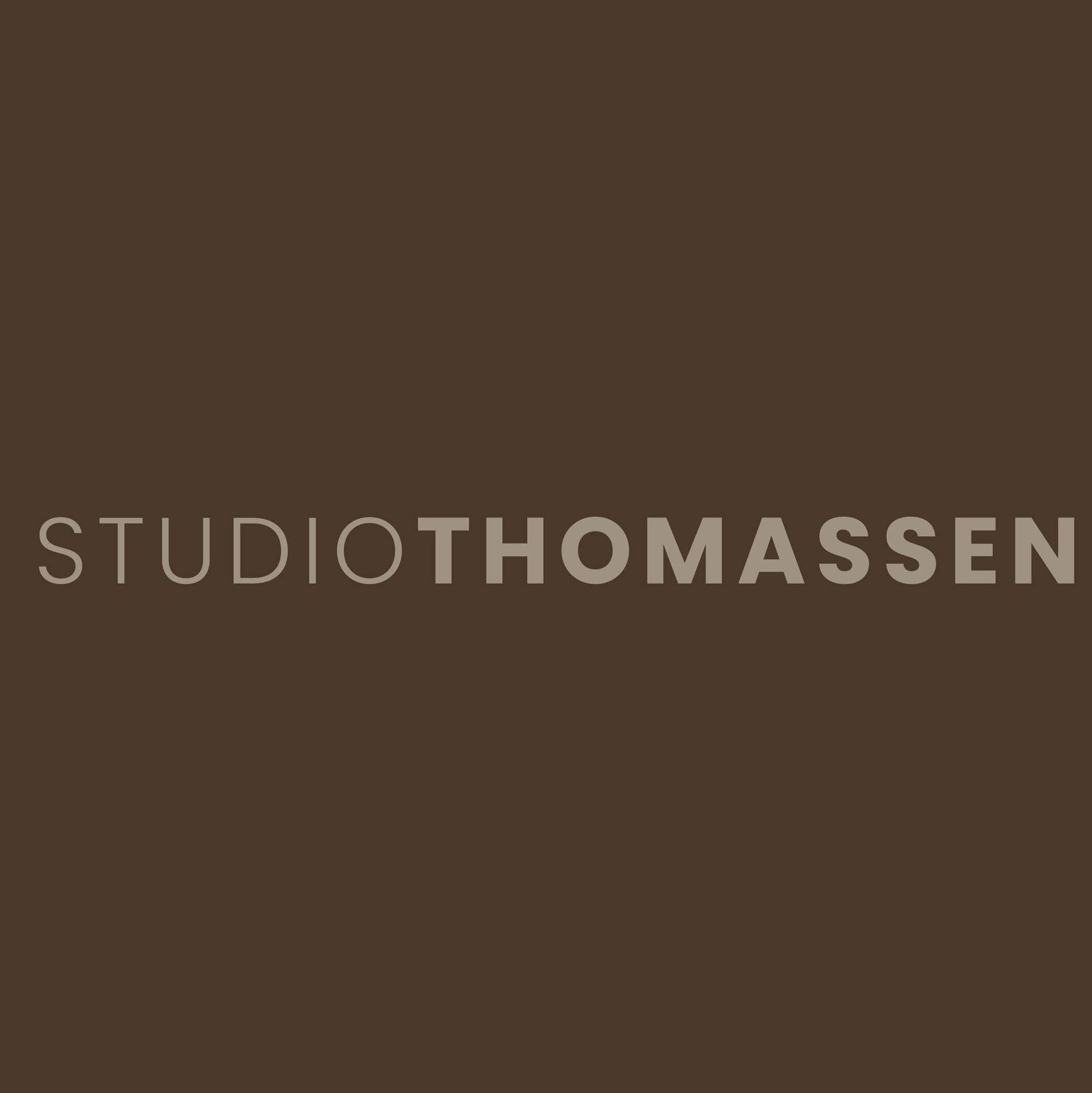 Studio Thomassen's icon