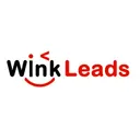 WinkLeads's icon