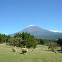 まかいの牧場【公式】's icon