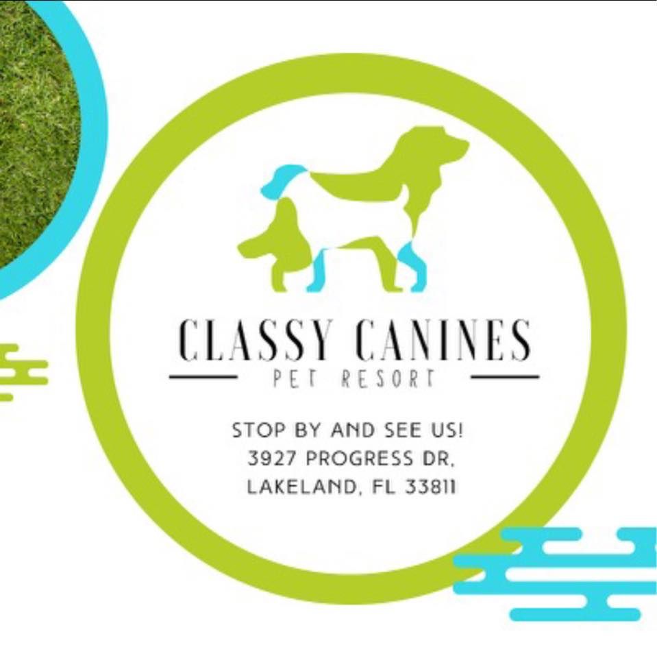Classy Canines Pet Resort's icon