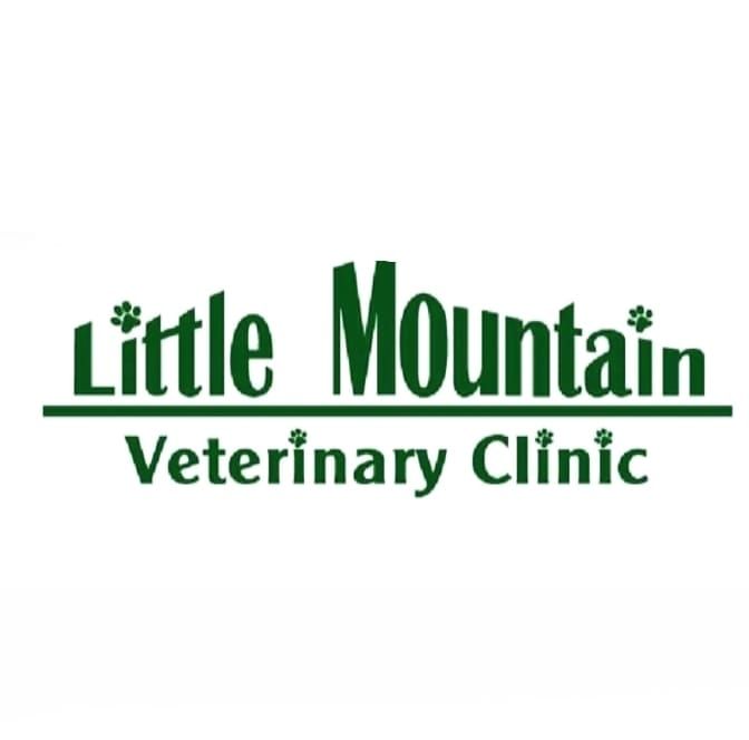 Little Mountain Veterinary Clinic's icon