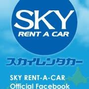 スカイレンタカー's icon