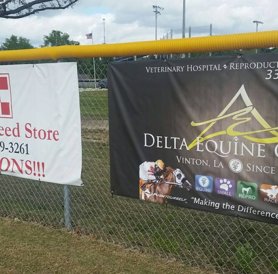 Delta Equine Center's icon