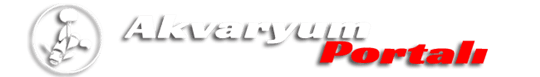 AKVARYUMPORTALI's logos