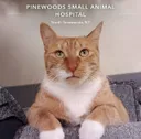 Pine Woods Animal Hospital PC | North Tonawanda NY's icon