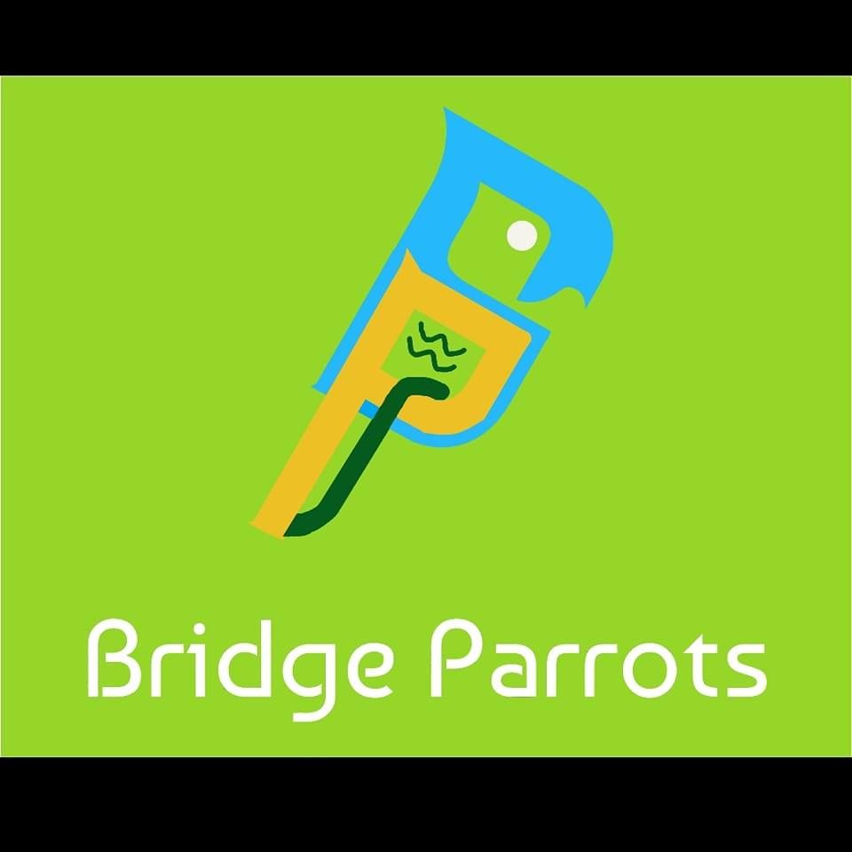 bridgeyparrots.com's icon