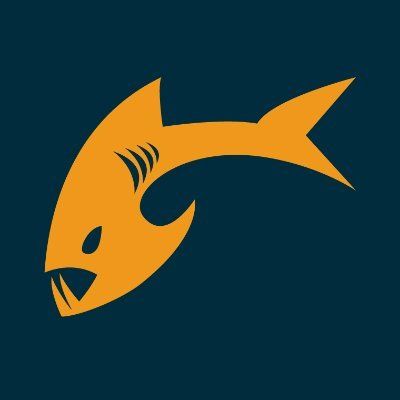 Payara's icon