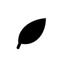 Midori Spa's icon