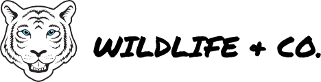 Wildlife and Co.