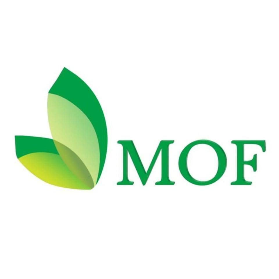 Managing Of Future Eng. Company's icon