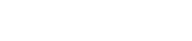 Bluesight's logos