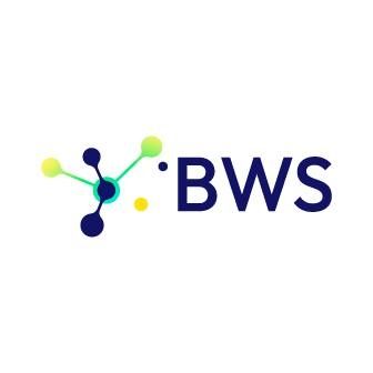 Be Wireless Solutions's icon