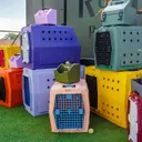 Ruff Land Performance Kennels's icon