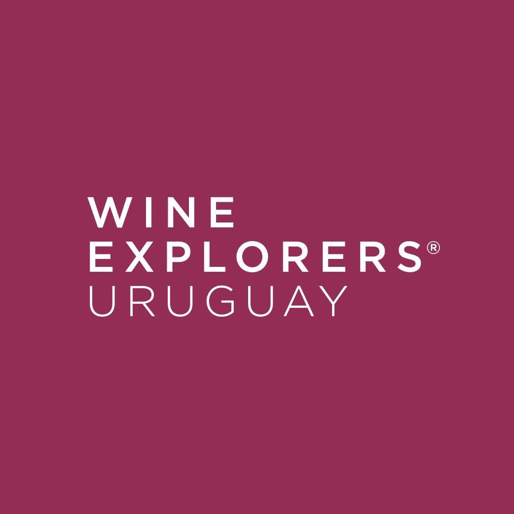 Wine Explorers Uruguay's icon