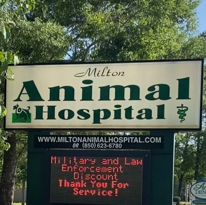 Milton Animal Hospital's icon