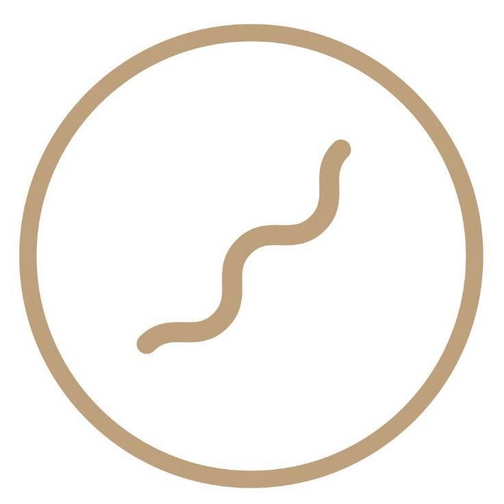 The Flow Studio's icon