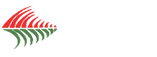 SOCAPALM's logos