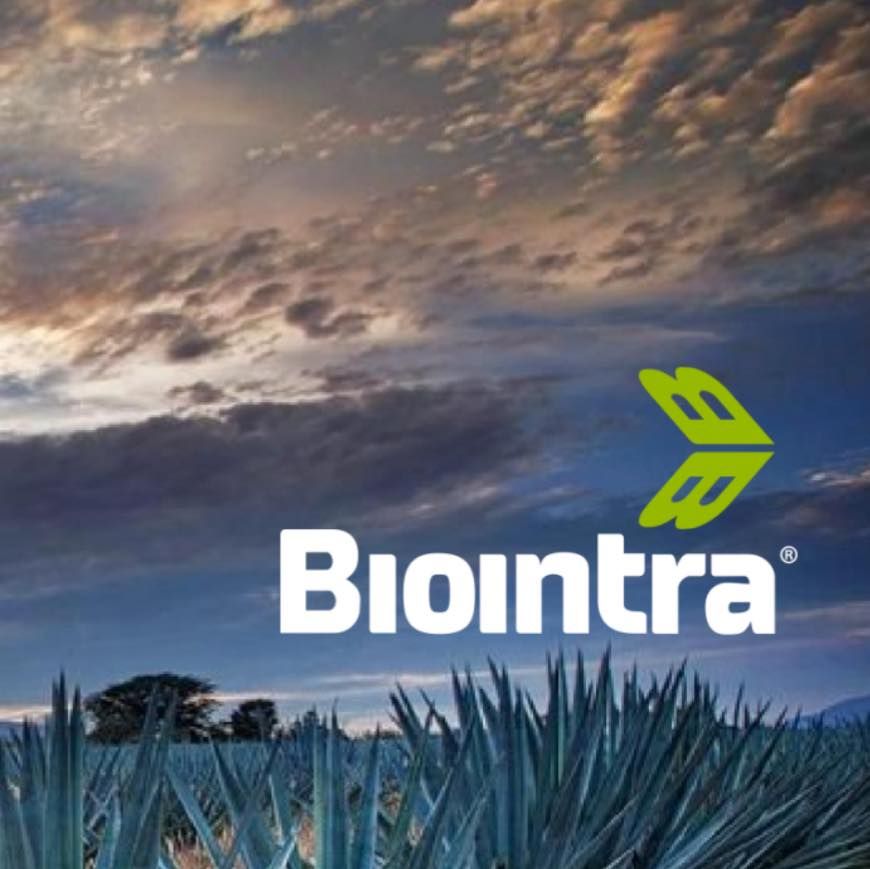 Biointra Group's icon