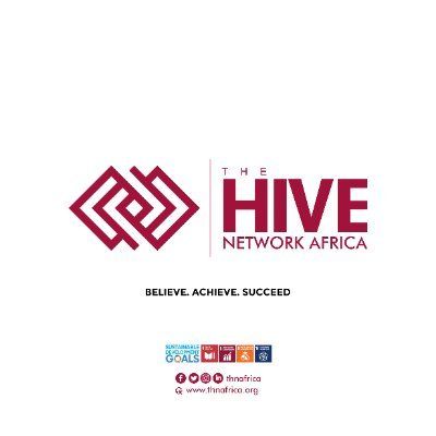 The Hive Network Africa's icon
