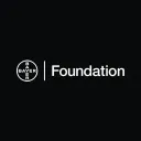 Bayer Foundation's icon