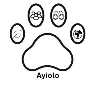 Safari-Advisor's logos