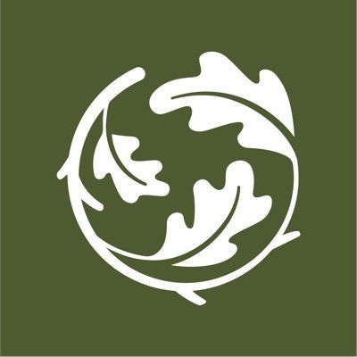 TreePeople logo