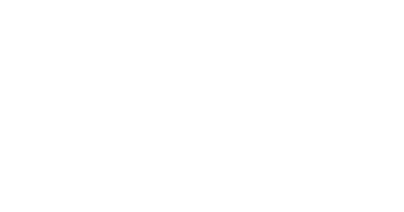 Land Rover auto glass