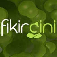 Fikircini's icon