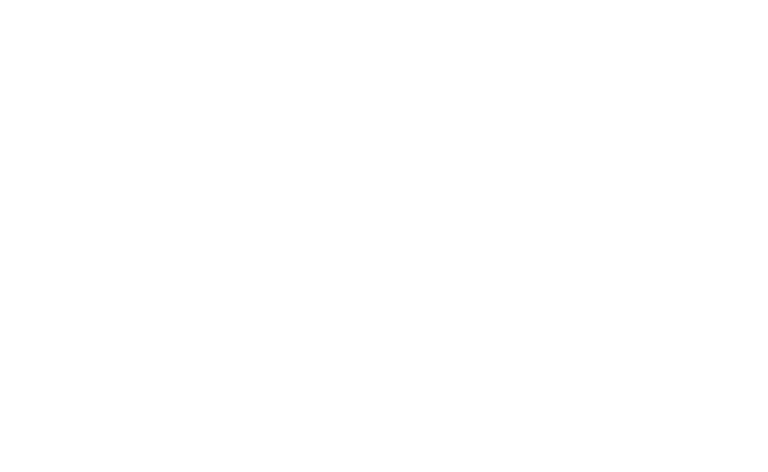 Now & Zen Landscapes's logos