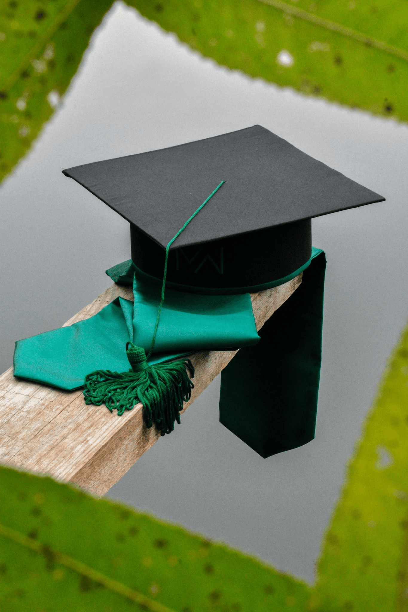 All Scholarship Africa's logos