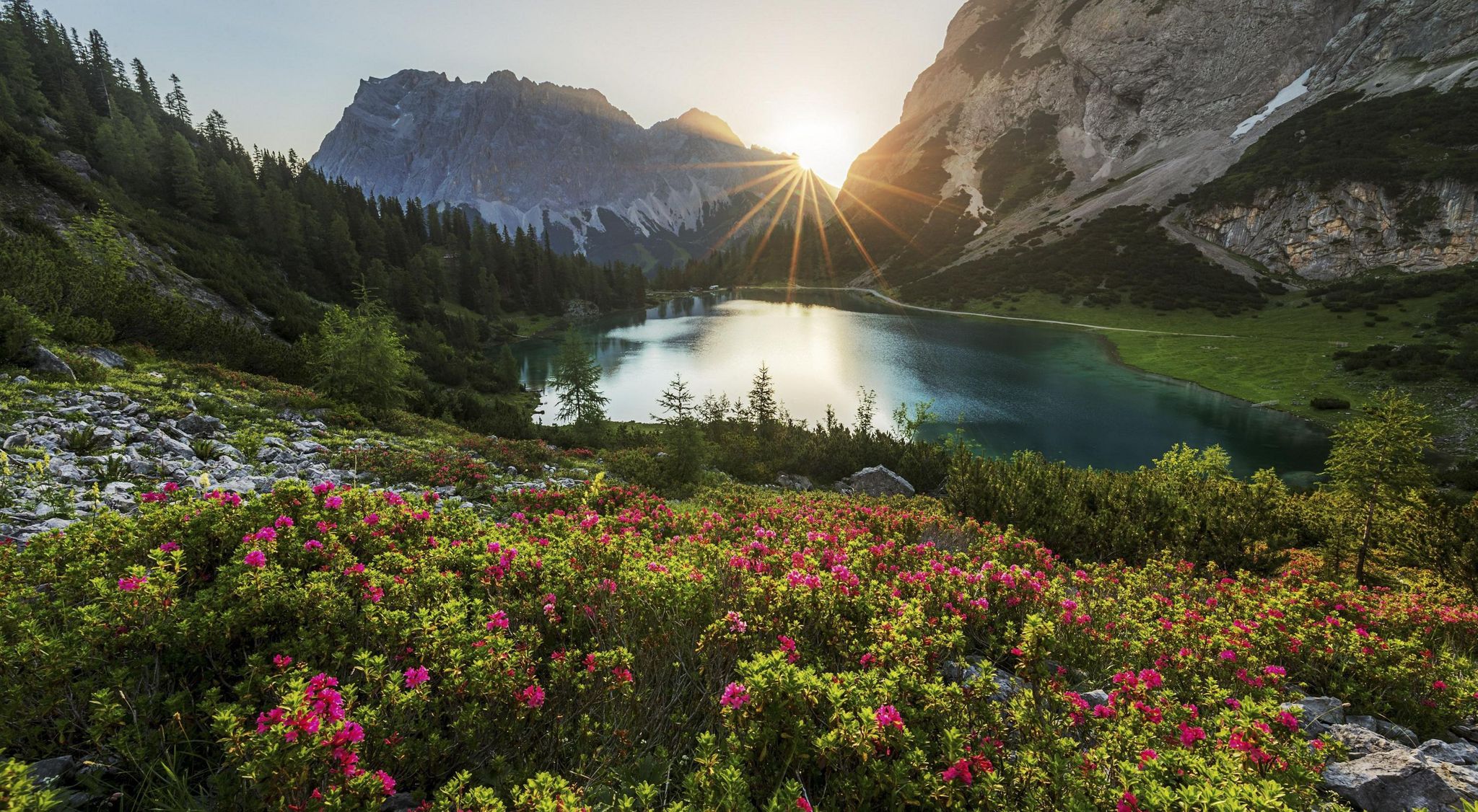 EcoHubMap's images