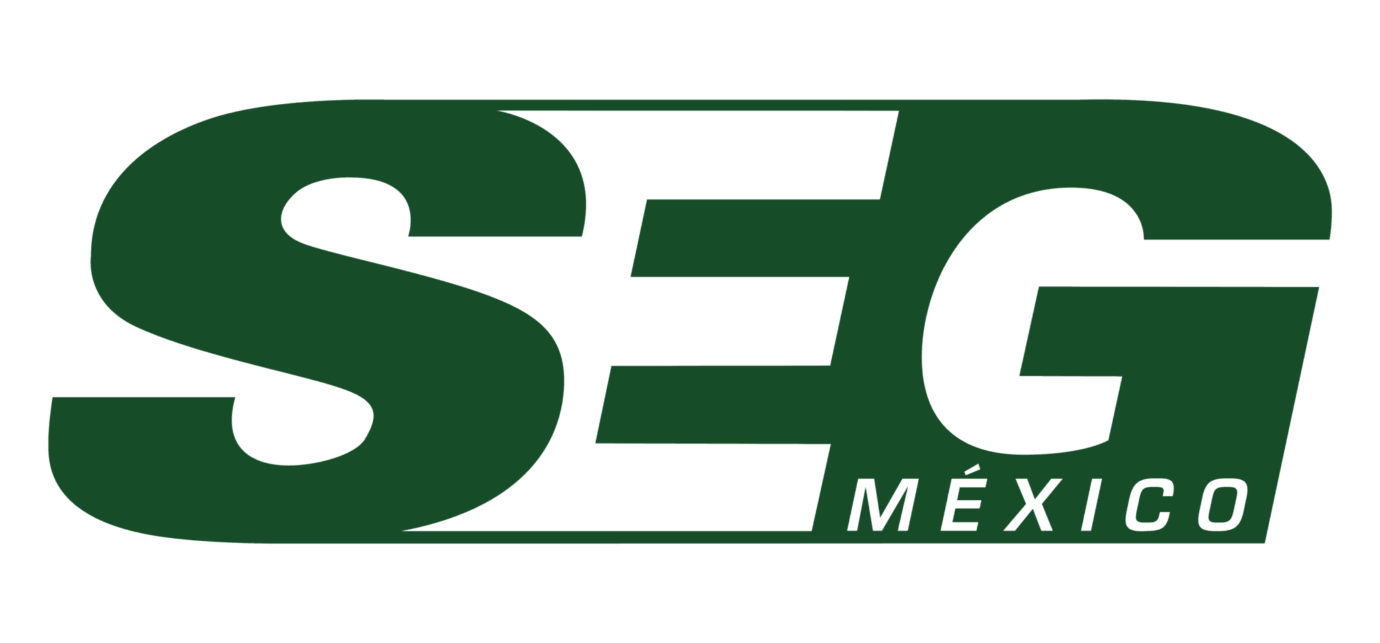 Seg Logo