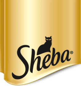 Sheba