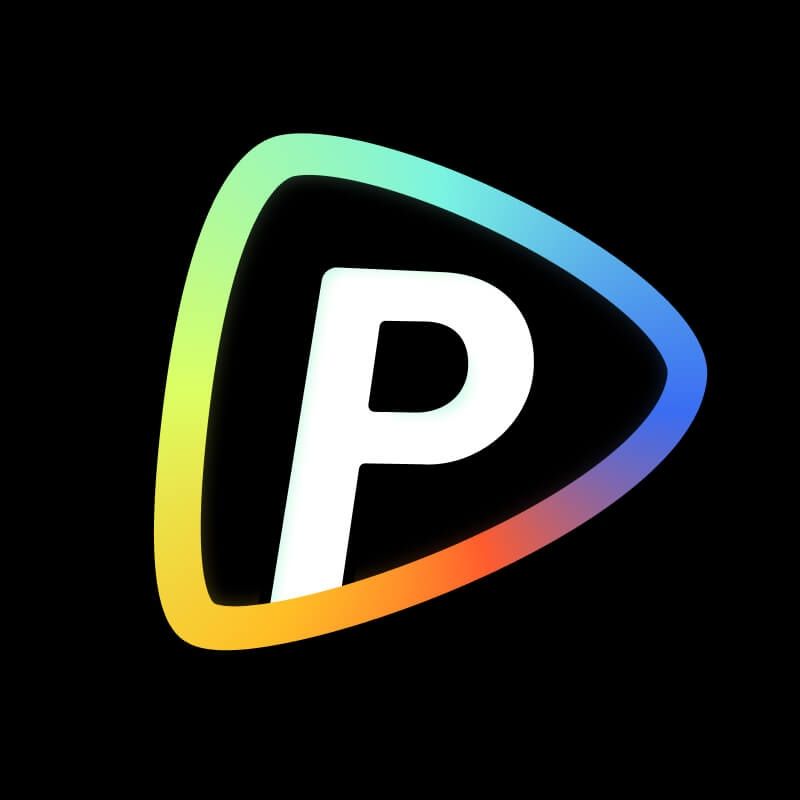 Pollo AI Logo